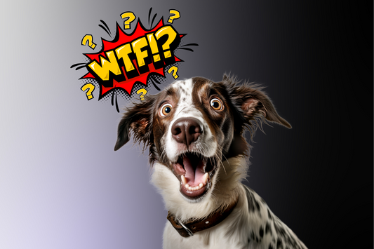 Welcome To The Unruly (inappropriate) Blog!