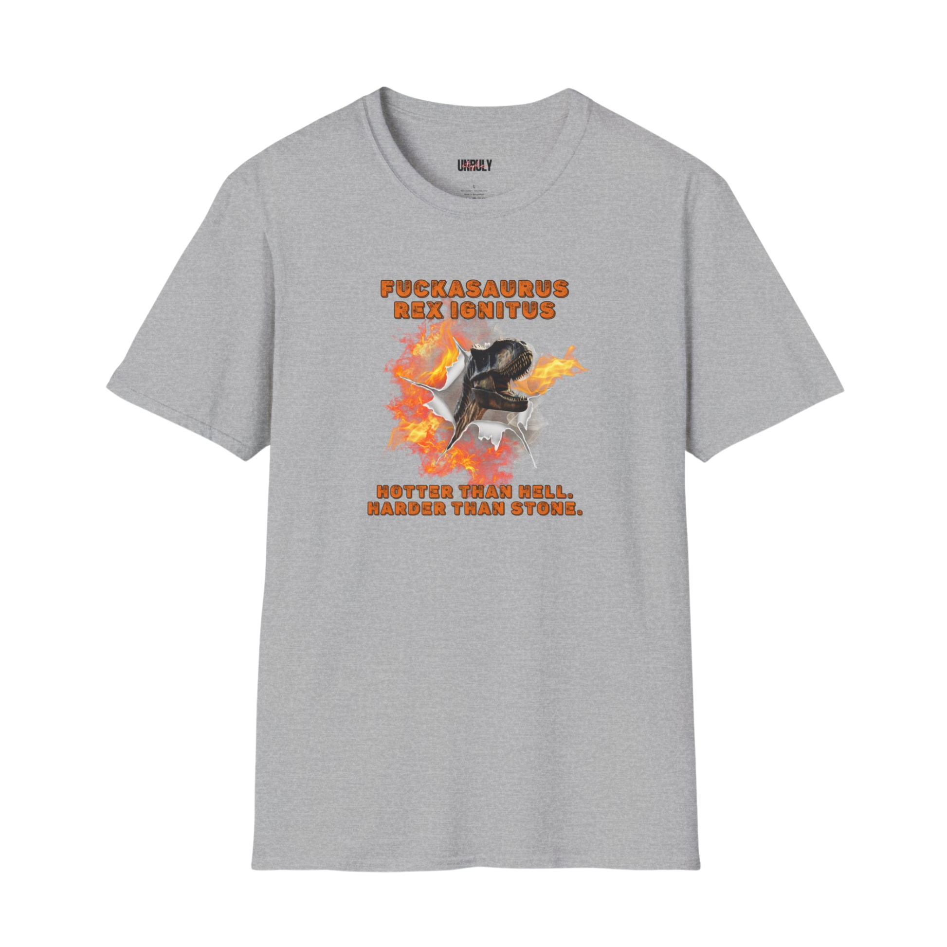 Raunchy NSFW Fuckasaurus Rex tee with flames
