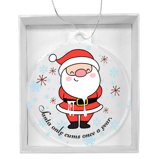 Funny dirty holiday ornament with Santa and offensive text